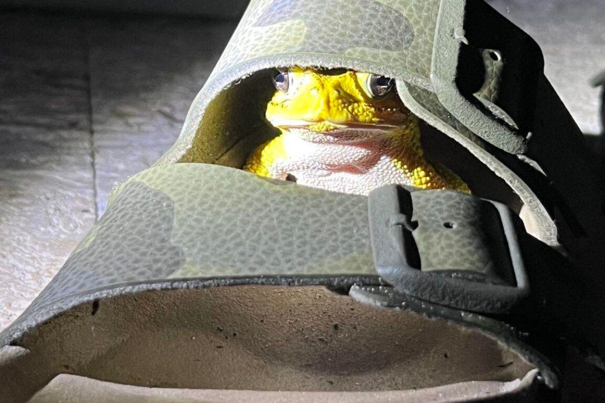 Costa Rica - May 2023